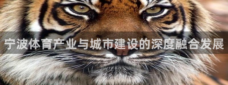 意昂体育4招商：宁波体育产业与城市建设的深度融合发展