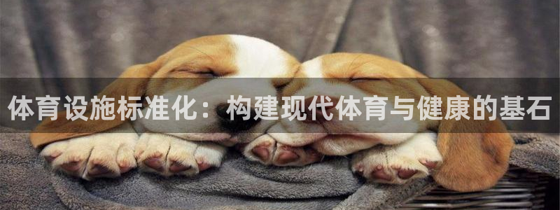 意昂体育4招商电话是多少：体育设施标准化：构建现代体