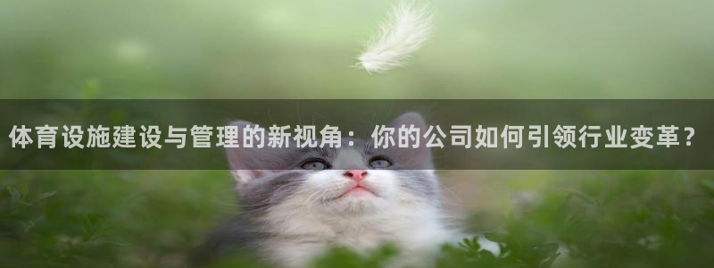 意昂4五金厂：体育设施建设与管理的新视角：你的公司如