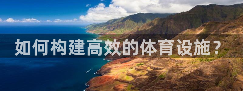 意昂4集团简介