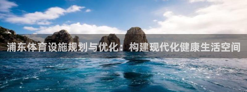 意昂体育4招商：浦东体育设施规划与优化：构建现代化健
