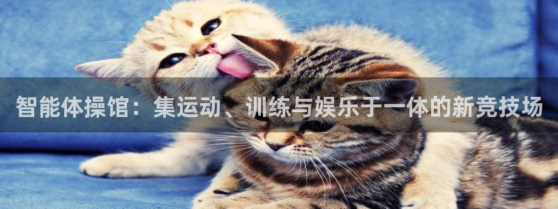意昂4代理：智能体操馆：集运动、训练与娱乐于一体的新竞技场