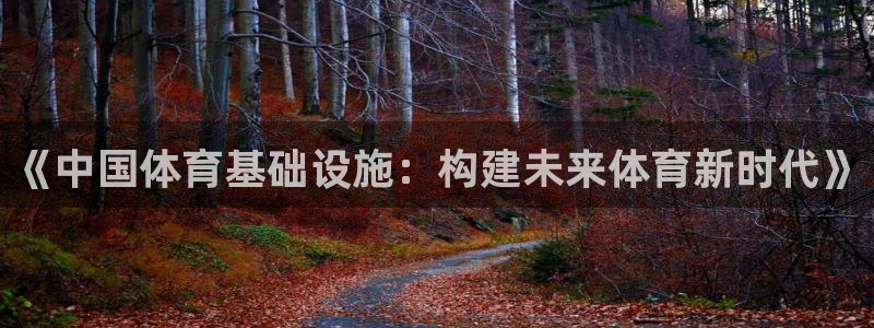 意昂体育4注册：《中国体育基础设施：构建未来体育新时