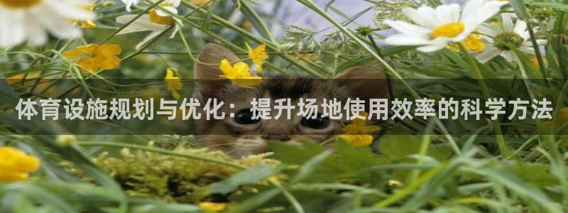 意昂体育4