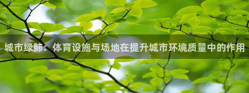 意昂4集团简介：城市绿肺：体育设施与场地在提升城市环
