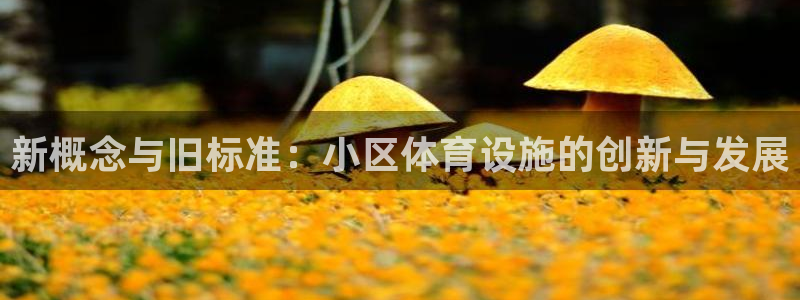 意昂4集团E.ON：新概念与旧标准：小区体育设施的创