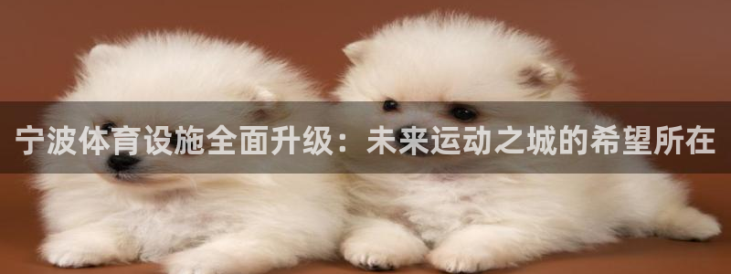 意昂体育4招商电话号码是多少：宁波体育设施全面升级：